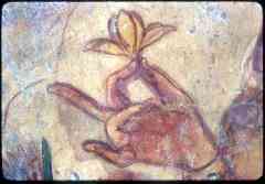 hand_and_flower_detail